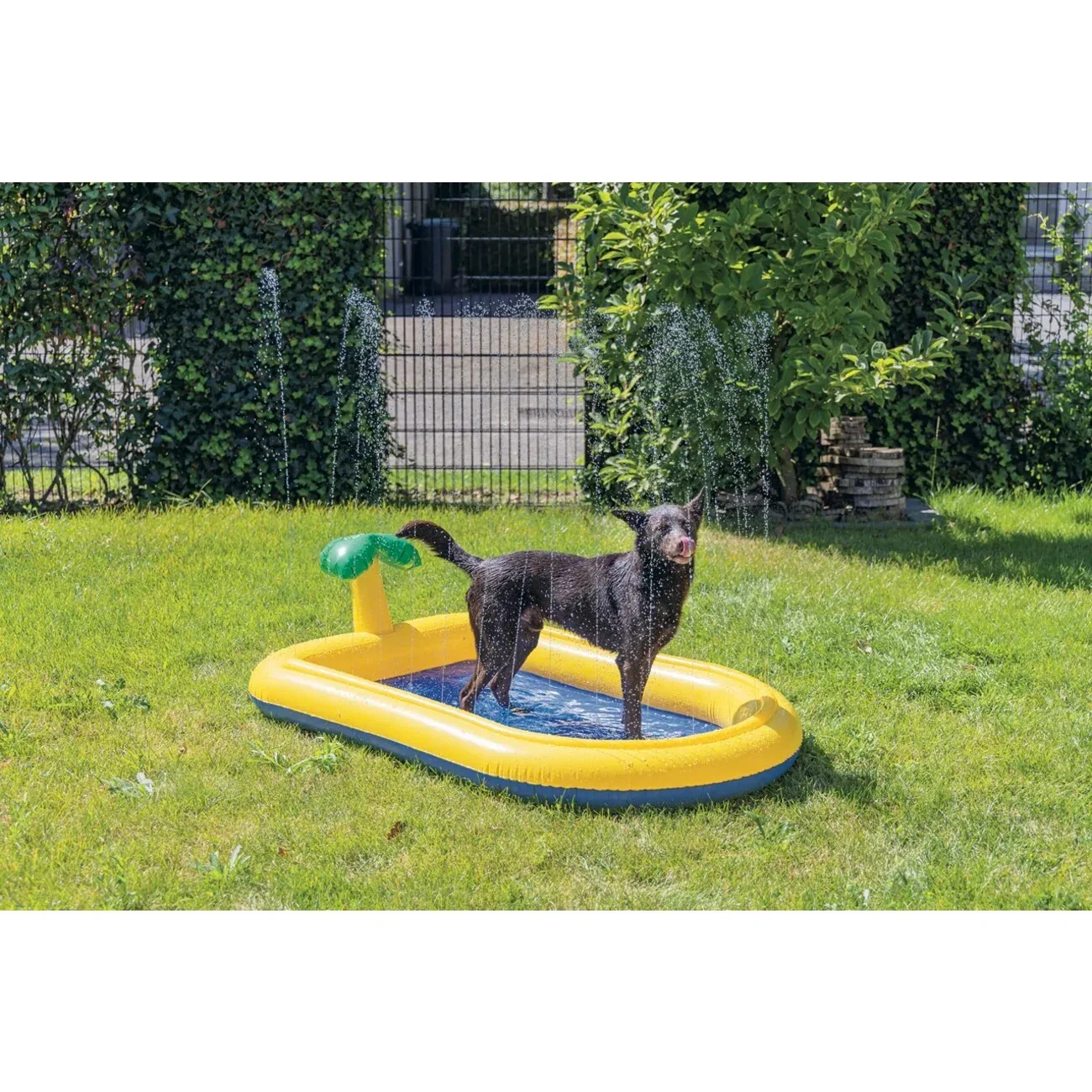Beeztees Hundepool Palmy mit Sprinkler – Hundeplanschbecken 163x100x47 cm, gelb - Image 2