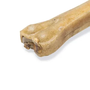 Beeztees Kauknochen mit Ochsenziemer – Hundesnack 15 cm