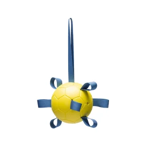 Beeztees Spielball Power