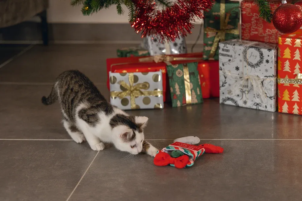 Beeztees Xmas Fish-Mas – Katzenspielzeug mit Knisterfolie - Image 2