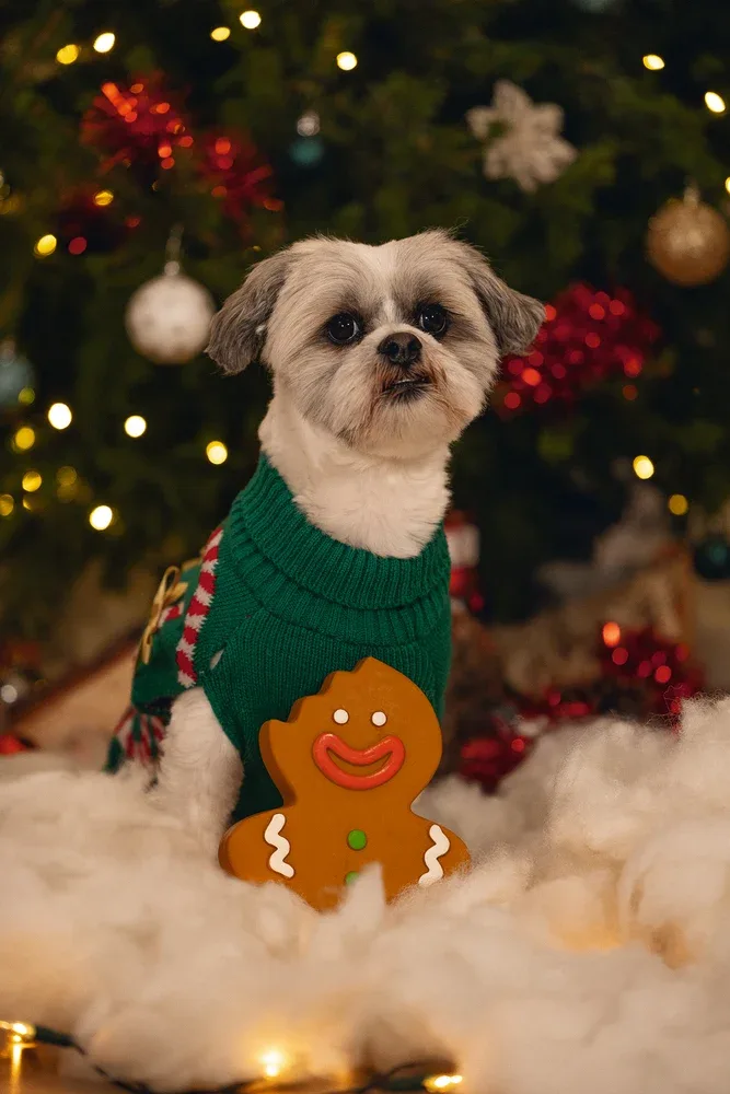 Beeztees Xmas Lebkuchenmann – Latex-Hundespielzeug mit Quietscher - Image 2