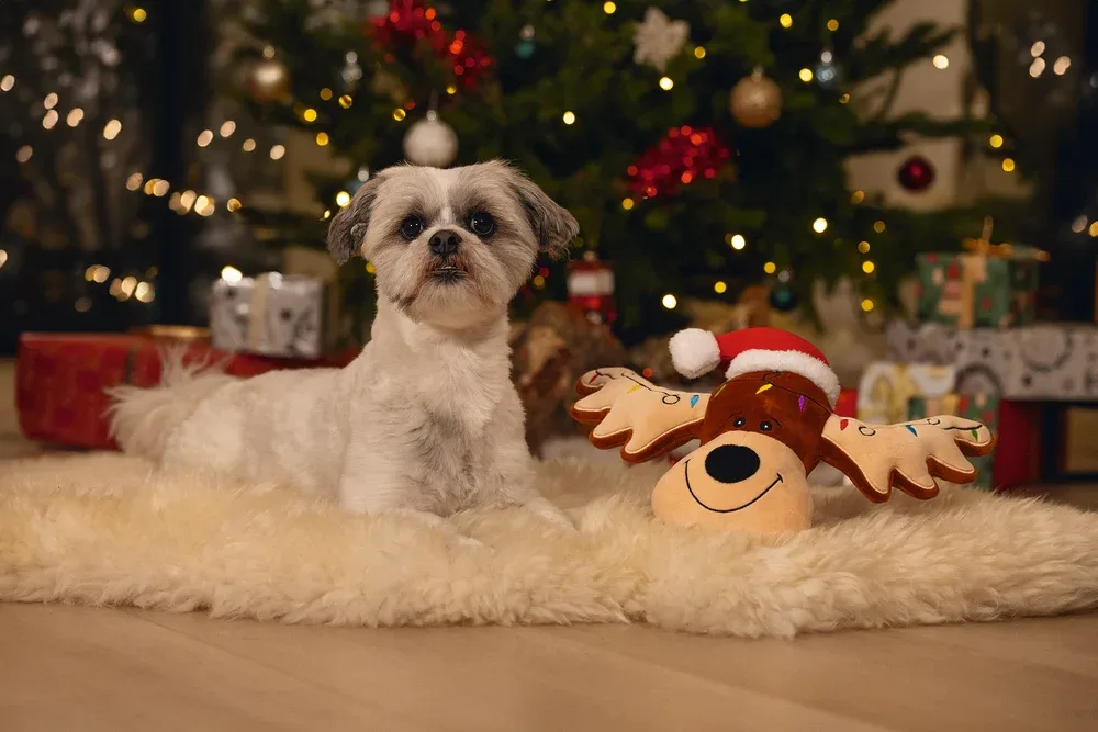 Beeztees XMAS Rudolph Hundespielzeug aus Plüsch mit Squeaker, 36 cm - Image 2