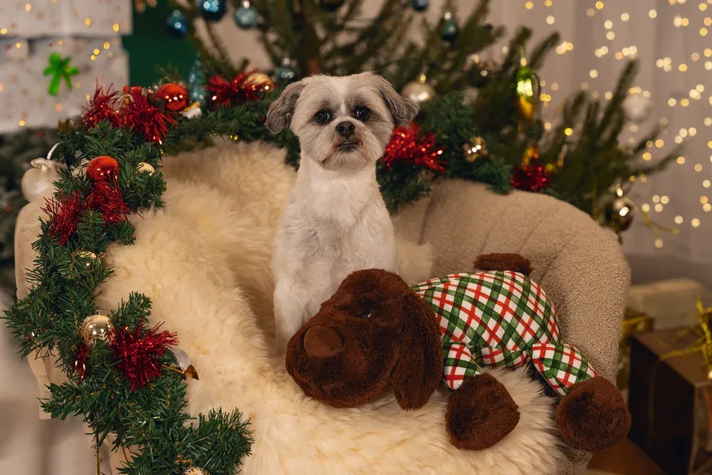 Beeztees XMAS XL Weihnachtskuscheltier für Hunde – 45x46x13 cm - Image 2