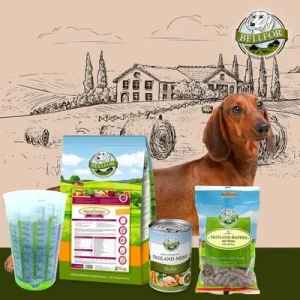 Bellfor Dackel Futter Set 1 Stück