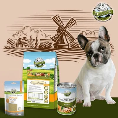 Bellfor Französische Bulldogge Futter Set 1 Stück