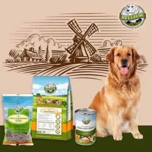Bellfor Golden Retriever Futter Set 1 Stück