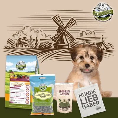 Bellfor Havaneser Futter Set 1 Stück