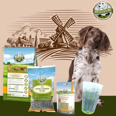Bellfor Kleiner Münsterländer Futter Set 1 Stück