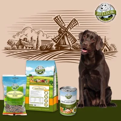 Bellfor Labrador Futter Set 1 Stück