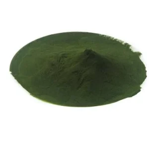 BIO Chlorella DE-ÖKO-001, 100 g