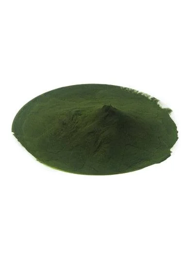 BIO Chlorella DE-ÖKO-001, 100 g