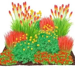 Bio Stauden-Set Feuerwerk im Garten, Landlust | Dehner