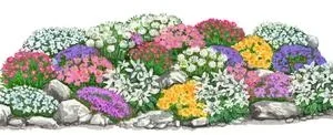 Bio Stauden-Set Großer Alpengarten, 24-teilig | Dehner