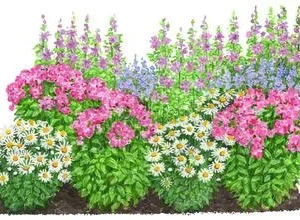 Bio Stauden-Set Landhausgarten, 12-teilig | Dehner