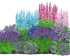Bio Stauden-Set Romantischer Garten, 12-teilig | Dehner