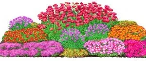 Bio Stauden-Set Trocken durch den Sommer, | Dehner