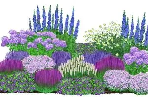 Bio Stauden-Set Weiß-blaues Gartenparadies, | Dehner