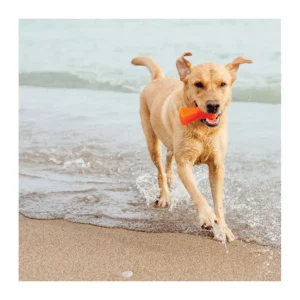 Bionic Bone langlebiges Hundespielzeug