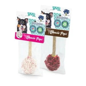 Blue Tree Cheesie Pop Himbeere & Kokos