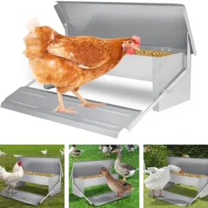BMOT Futterautomat Automatischer Hühner Futterspender 5kg spülmaschinenfest - HaustierPro