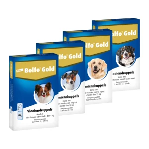 Bolfo Gold Hund