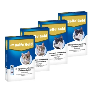 Bolfo Gold Katze