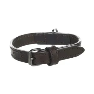 Breites Lederhalsband Flamingo Halsband Leder Denver braun XL - HaustierPro