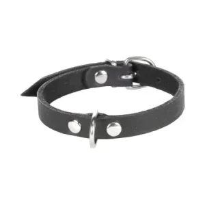 Breites Lederhalsband Flamingo Halsband Leder Seattle schwarz XS - HaustierPro