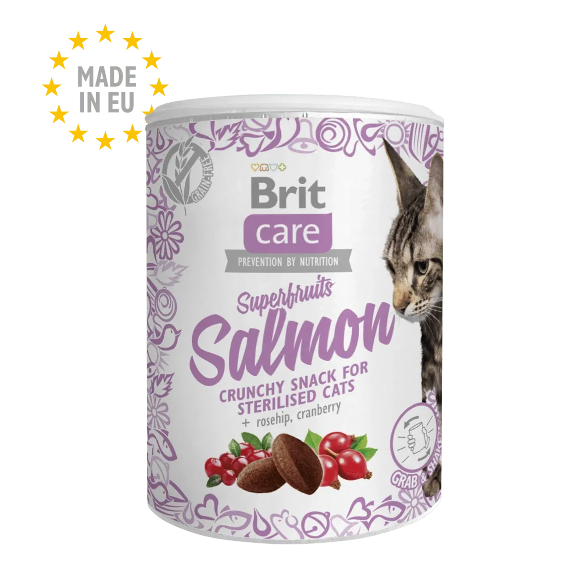 BRIT Care Snacks Katze Superfruits - Salmon