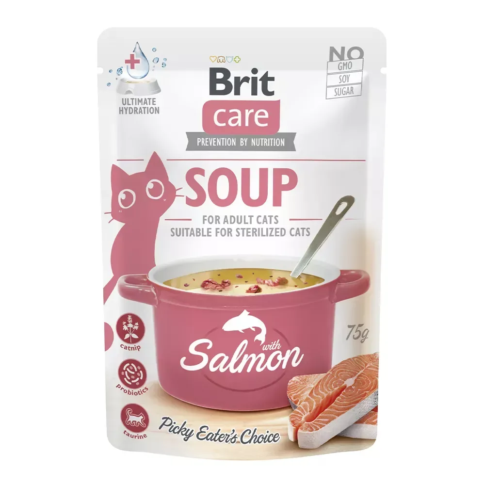 BRIT Katze Soup - with Salmon