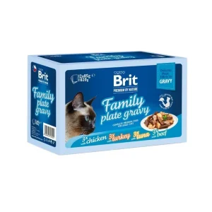BRIT Premium by Nature Cat Delicate Fillets in Gravy Family Plate