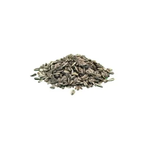 BTG Classic Bird Sonnenblumenkerne gestreift