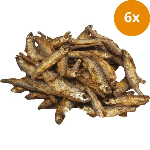 BTG Classic Dog Trockenfisch 100 g - Image 2