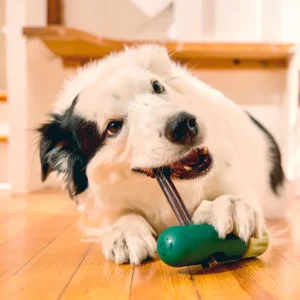BullySafe Bully Stick Halte für Hunde- sicherer Kauartikel Halter
