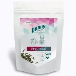 Bunny ProDental
