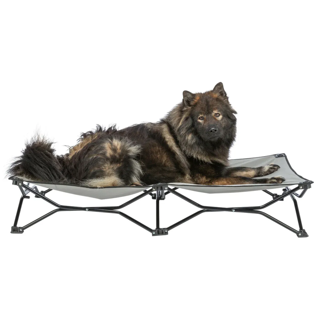 Camping-Bett Strong Edition für Hunde bis zu 50 kg - Image 2
