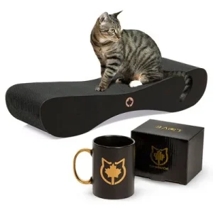 Canadian Cat Company Kratzbrett SATELLITE 2.0 & LOVE