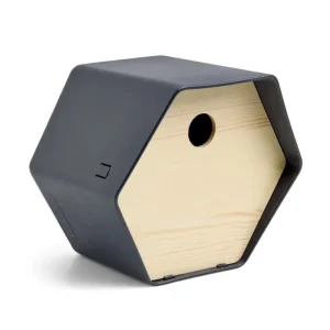 Capi Vogelhäuschen Hive 1 19x23x20 cm Rundloch Anthrazit - HaustierPro