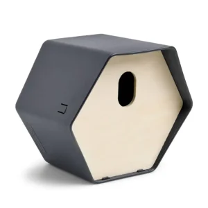 Capi Vogelhäuschen Hive 2 19x23x20 cm Ovales Loch Anthrazit - HaustierPro