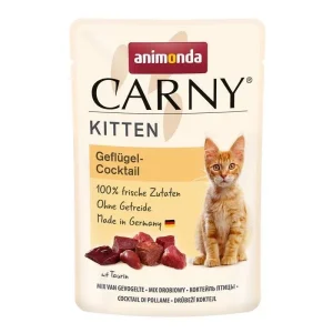 Carny Kitten Futter in Tütchen
