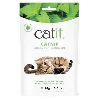 Catit Katzenminze Inhalt: 14 g