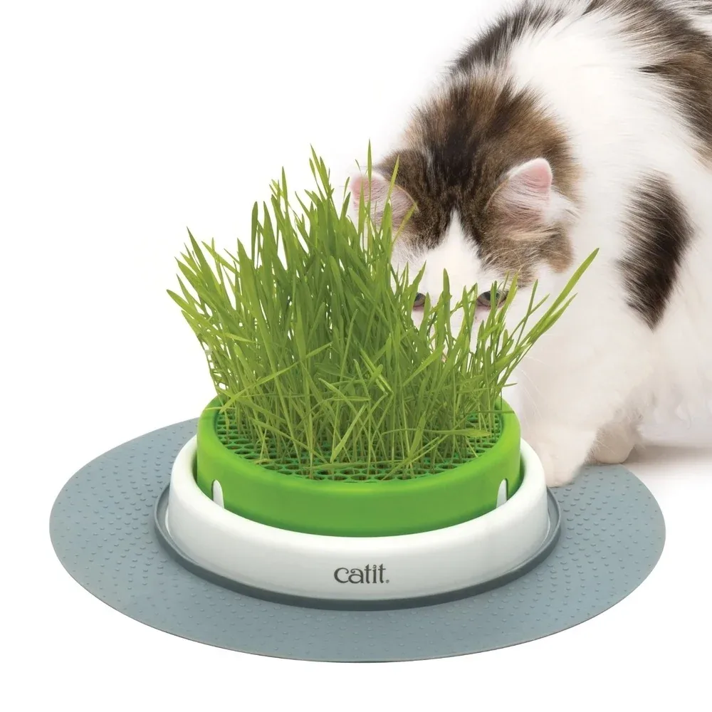 catit Senses 2.0 Grastopf Grass Planter - Image 2