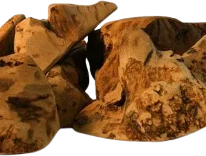 cdVet Kauwurzel S
