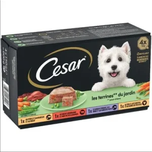 Cesar Classic Selection Mixkarton Garten-Terrine (8 x 150 g)