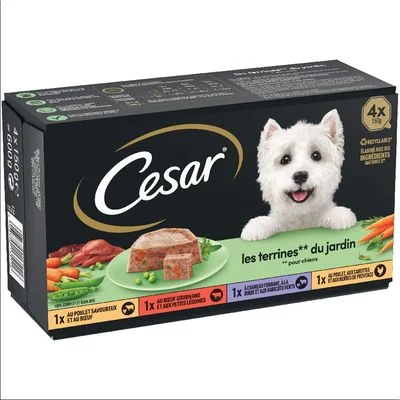 Cesar Classic Selection Mixkarton Garten-Terrine (8 x 150 g)