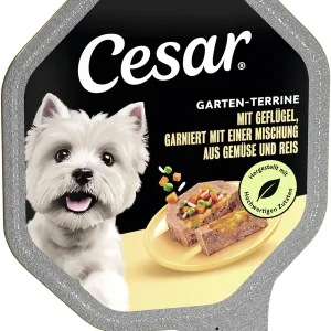 Cesar Garten-Terrine mit Geflügel, garniert mit einer Mischung aus Gemüse und Reis 150g | DAS FUTTERHAUS