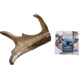 Chewies Damhirsch Geweihsnack L
