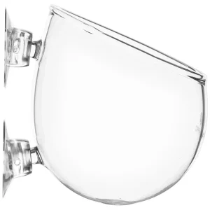 Chihiros Glas Vase für Pflanzen | DAS FUTTERHAUS