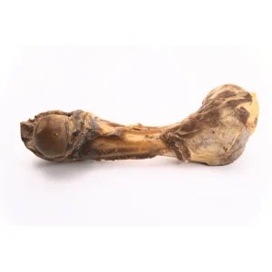 Classic Hunde Snack Schinkenknochen groß aus Italien