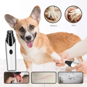 ClawCare™ – Antistress-Krallenfeile für dein Haustier abgesichert & bequem [50% Rabatt] - HaustierPro